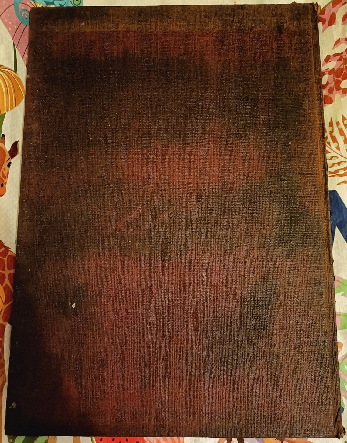 Foto 5 di 5