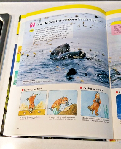 A Child's First Library of Learning Animals in Action 1998 Pictorial HC Kids - Picture 6 of 7