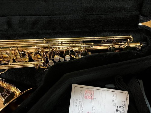 Yanagisawa T-WO2 (TWO2) Bronze Tenor Saxophone Genuine Brand w/case Mouse piece - Picture 8 of 20