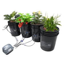 5-Gallon 4 Buck Hydroponics Growing System Recirculating Drip Garden Cultivation