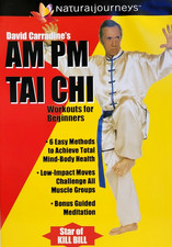 David Carradine's AM PM Tai Chi Workout (DVD) *DISC ONLY* NO CASE