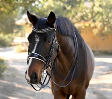 Double Bridal Halter Ego Wide Nose Band Crystal Browband Never Used