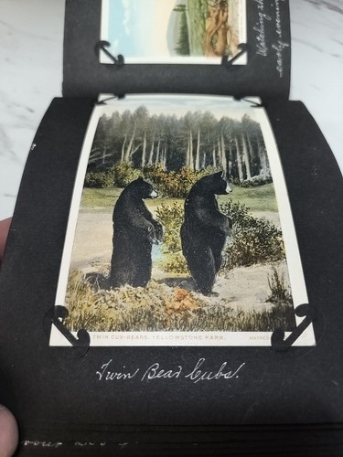 Incredible 1920 Yellowstone Park WEDDING\HONEYMOON Scrapbook/Photo Album FULL - Picture 18 of 24
