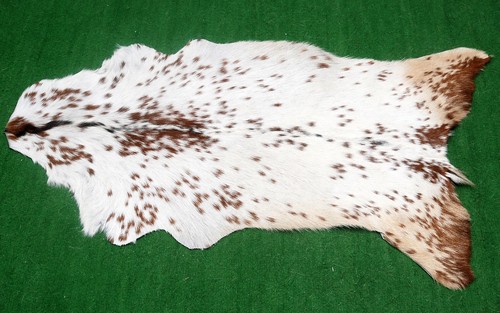 Ziege Western Taxidermie Fell Teppich Naturmuster Fell Ziegenfell Rode SA-6077