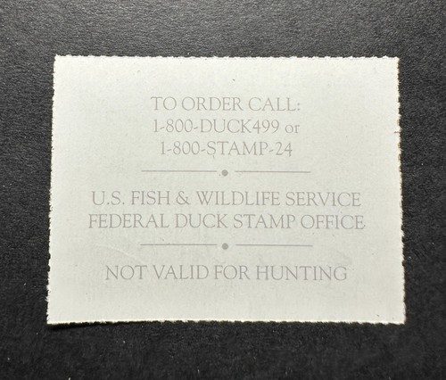 Estampillas WTD - #JDS15 2007 - Estampilla de pato junior de Estados Unidos - Como nueva sin usar **Firmada por el artista** - Imagen 2 de 2