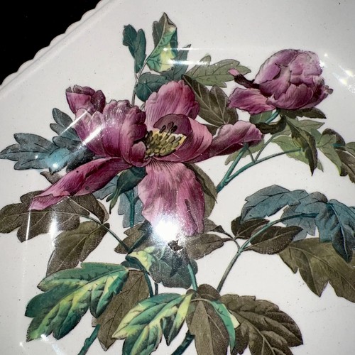 "Plato de ensalada Copeland Spode 1883 octágono 8"" único en su clase" - Imagen 10 de 12