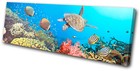 Animals Sea Turtle Fish  SINGLE CANVAS WALL ART Picture Print VA