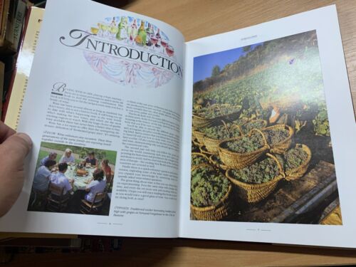 1989 1. Auflage "ATLAS DES WEINES" ALICE KING 1,3kg RIESIGES GEBUNDENES BUCH (P7) - Bild 8 von 20