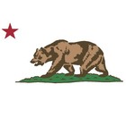 calibearcollectibles