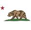 calibearcollectibles