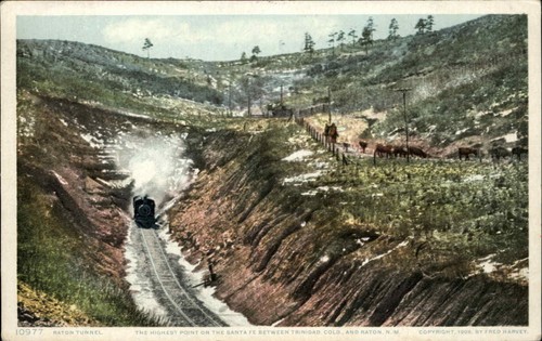 Raton New Mexico fast neuwertig Raton Tunnel Zug Lok Detroit Verlag ca. 1900er-10er PC