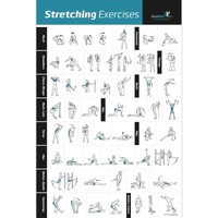 Stretching Exercise Poster Laminated - Shows How To Stretch Specific Muscles ... on sale Stretching Exercise Poster Laminated - Shows How To Stretch Specific Muscles ... on sale