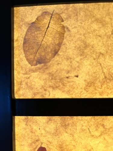 1999 japanischer Stil Holz, Büttenpapier mit eingebetteten Blättern Tischlampe 20" - Bild 11 von 21