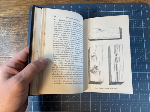 1875 1st Edition/Printing "A TREATISE ON DRY ROT IN TIMBER" by T. A. Britton - Picture 11 of 18
