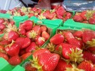 Foto 9 di 19