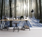 3D Snowy Forest R1903 Wallpaper Wall Mural Self-adhesive Removable Panda