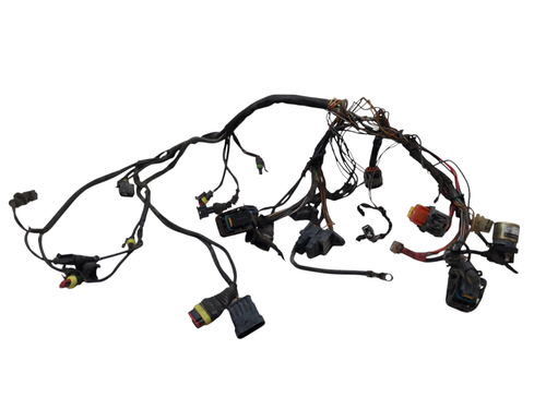 Electrical System Wiring Ducati Multistrada DS 1000 2003/2006 51012381A - Picture 2 of 24