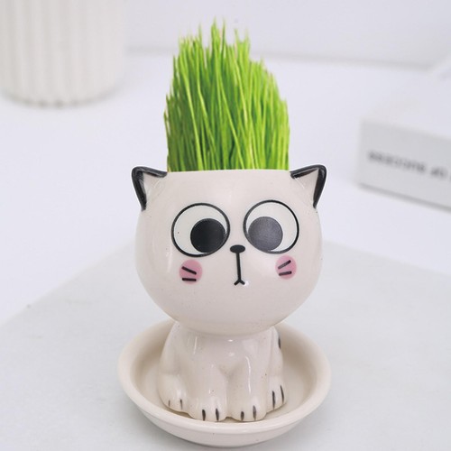 Cat Succulent Planter Pot Home Garde Decorative Porcelain Animal Flower Pots - Picture 4 of 16