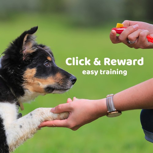 - Dog Clicker or Cat Training Clicker - Horse, Cat & Dog Training Clickers - ... - Picture 5 of 5
