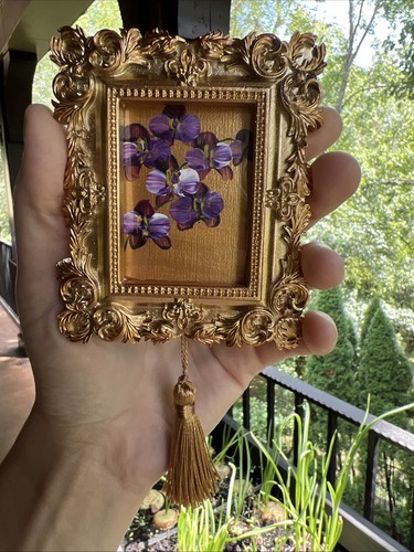 Orchidee, Natur, Blumen, Original Miniatur Gemälde, klein, mini, gerahmt - Bild 1 von 9