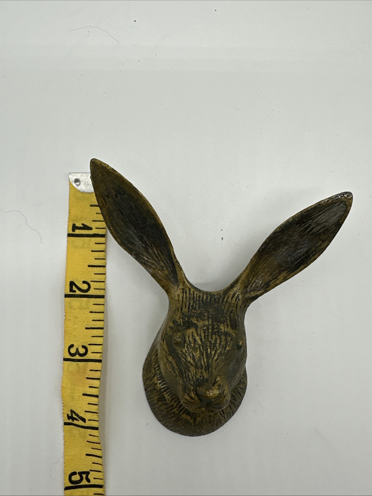 Foto 10 di 12