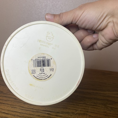 NWT 1989 Mirage Studios Teenage Mutant Ninja Turtle Bowl Peter Pan Brand USA - Picture 7 of 11