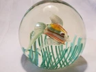 Vintage Murano Glass Aquarium Paperweight - Fratelli Toso Fish Sculpture