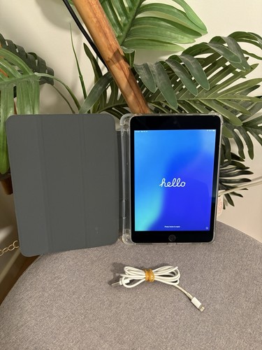 Apple iPad Mini 5th Gen 64GB WiFi & Cellular Unlocked Excellent Condition - Picture 16 of 16