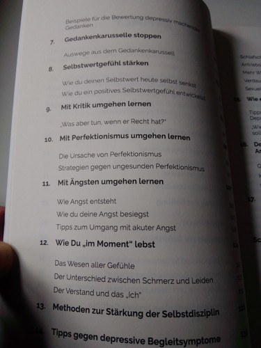 Depression - Brauchst du die noch oder kann die weg?: De... | Buch | Neuwertig  - Bild 4 von 5