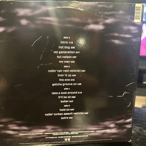 Chocolate Starfish and the Hot Dog Flavored Water [LP] by Limp Bizkit First Pres - Picture 2 of 7