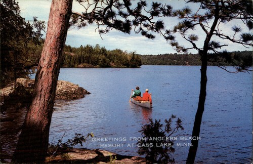 Cass Lake,MN Greetings 1981 Minnesota Postcard - Picture 1 of 2