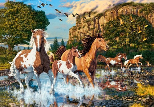 NEW Castorland Jigsaw Puzzle 1000 Pieces C-104789-2 Horse Wonderland - Picture 2 of 2