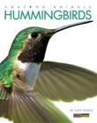 Hummingbirds by Kate Riggs (Paperback / softback, 2014)