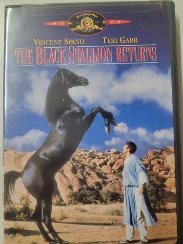 DVD Collection - Great Selection to Choose From, Some Rare & Out of Print Movies - Picture 30 of 217