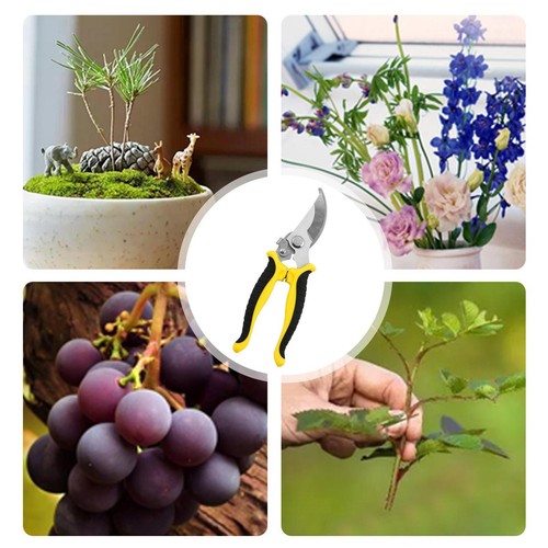 1-3X NEW Pruning Shears Cutter Home Gardening Plant Scissor Branch Garden Pruner - Picture 2 of 15