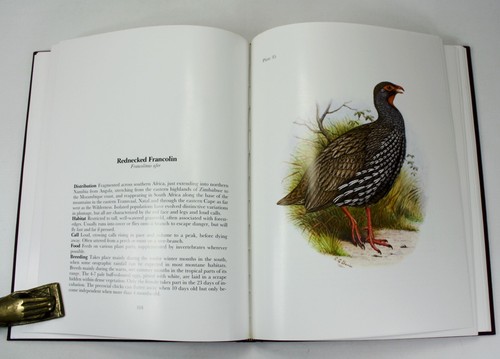 Gamebirds & Waterfowl of Southern Africa; 68 water-colours C.G. Finch-Davis. Ltd - Picture 11 of 12