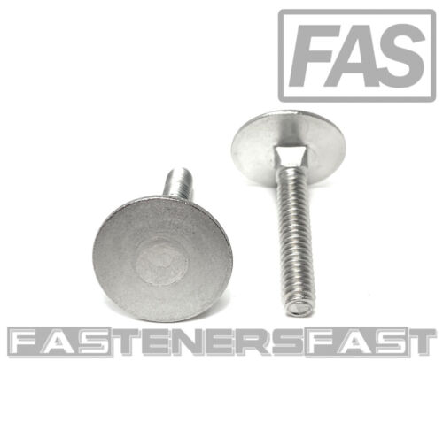 (10) 1/4-20x1-1/2 Stainless Steel Elevator Bolt Square Neck (1 Diameter Head) 18-8. Help Others Learn More About This Product By Uploading A Video! Looking For Specific Info?