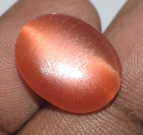 12,15 ct Natürliches Orange Katzenauge 17 x 13 mm Oval Cabochon Edelsteine Zertifiziert C3036 - Bild 1 von 7