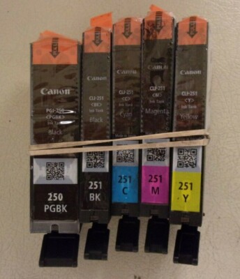Canon PGI 250 CLI 251 CMYK Ink Cartridges Set of 5 OEM NEW Genuine Sealed Setup