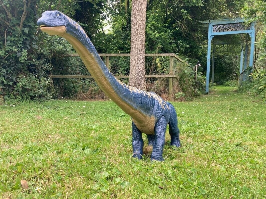 Picture 2 of 10