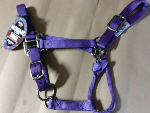 SMALL WEAVER 1" NYLON HORSE HALTER W/pewter hrdware PURPLE mosiac adj - Bild 1 von 3