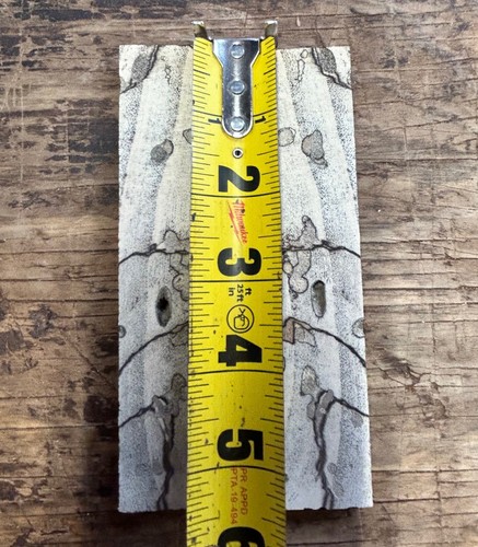 SPALTED HACKBERRY WILD! GRAIN Bookmatched Messer Schuppen Griff Griffe trocken K693 - Bild 2 von 4