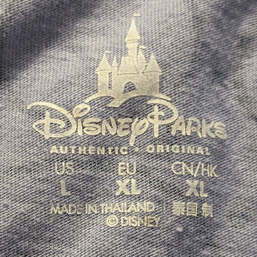 Disney Parks Women’s XS Blue T Shirt 2018 Park Symbols Wdw Walt World Large L - Picture 4 of 5