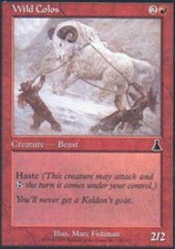 X4 Wild Colos Urza's Destiny Light Play MTG Magic DNA GAMES