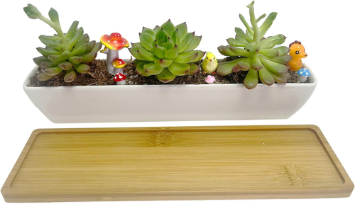 11Inch Long Rectangle White Ceramic Succulent Planter Pots/Mini Flower Plant Con - Picture 7 of 12
