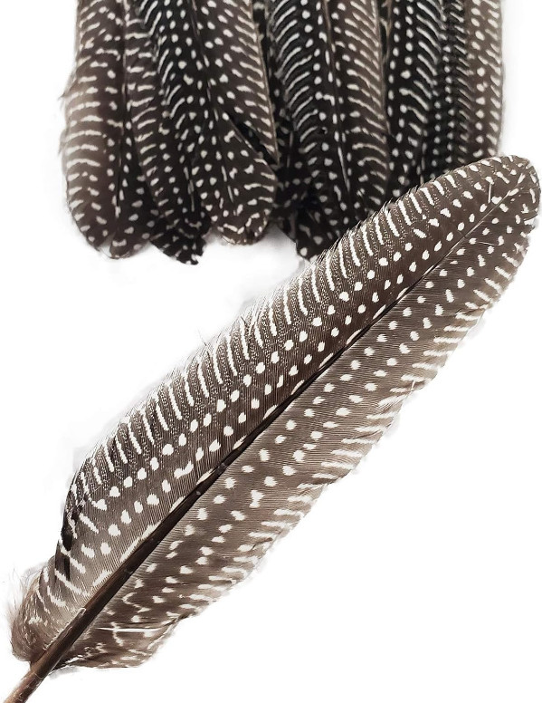 20pcs 6-9 inch Natural Guinea Wing Plumage Feather DIY Craft Jewelry Cloth Decor