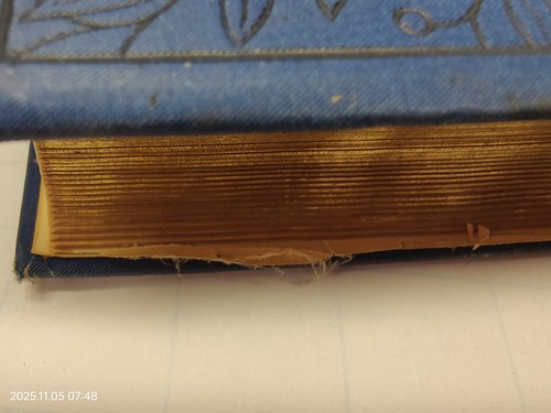 1890’s Poetical Works of John Milton - Paradise Lost - Gilt Decorative Hardcover - Picture 7 of 15