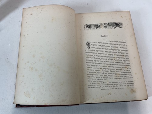 The Insect By Jules Michelet 1883 Illustrated by Giacomelli Antique Book - Picture 7 of 24