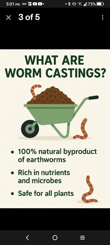 6 Lb Worm Castings Freshly Harvested ✴️Read Description - Picture 3 of 5