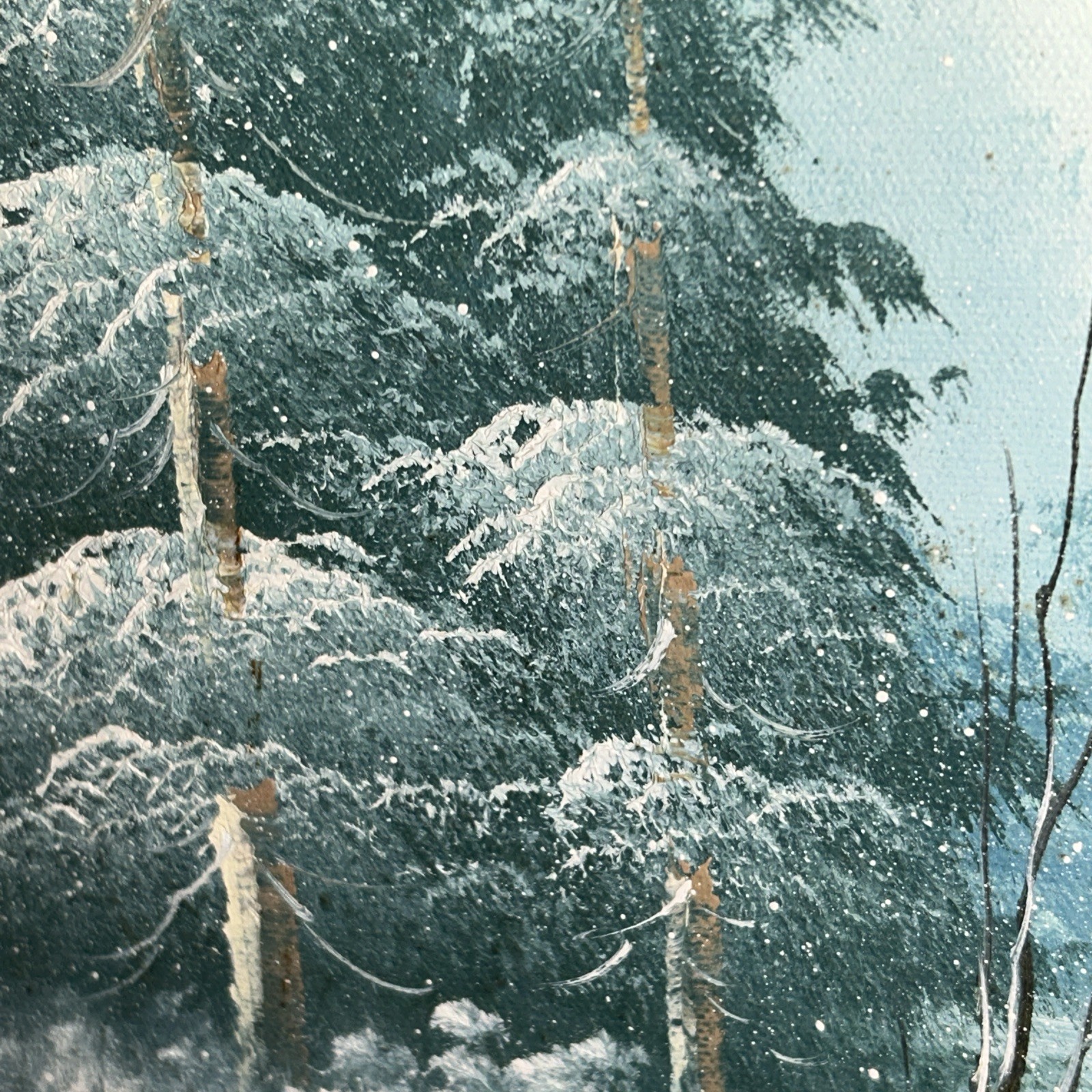 Bild 7 von 24